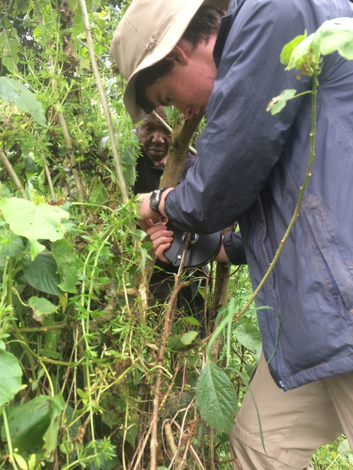 Maurice conducting Swamp survey with member of BCS team